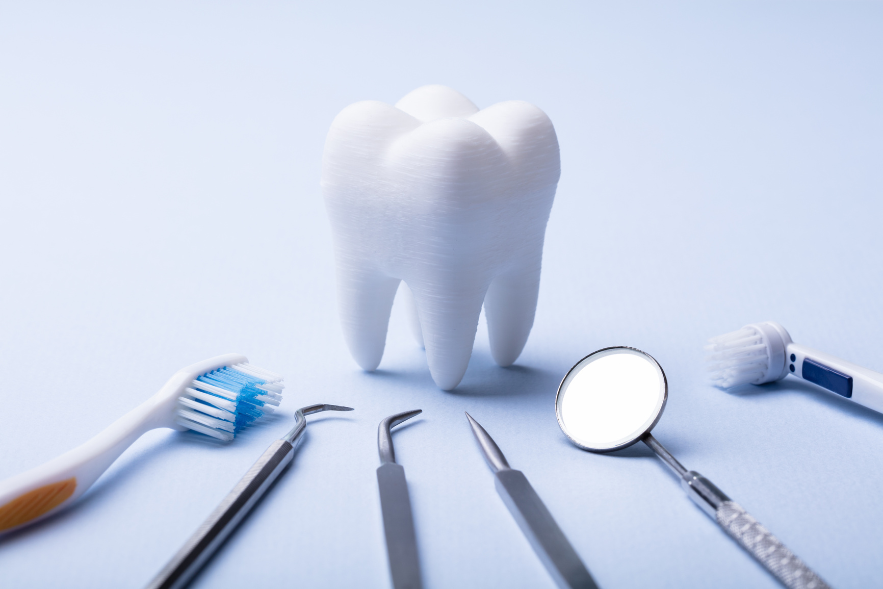 Dental Model And Dental Equipment